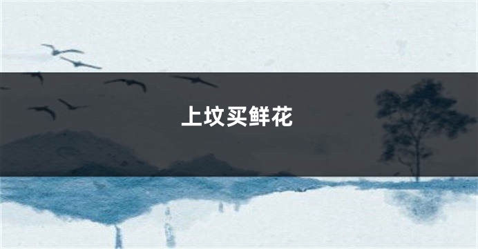上坟买鲜花