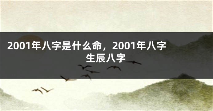 2001年八字是什么命,2001年八字生辰八字