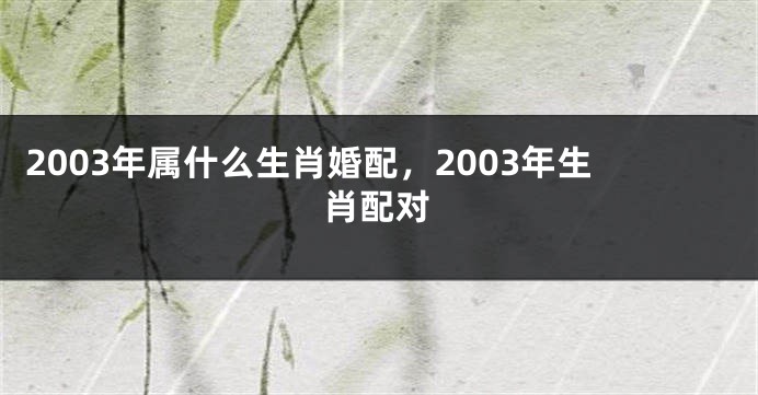 2003年属什么生肖婚配，2003年生肖配对