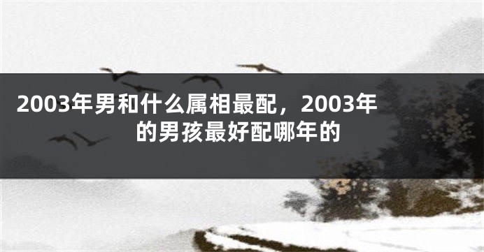 2003年男和什么属相最配，2003年的男孩最好配哪年的