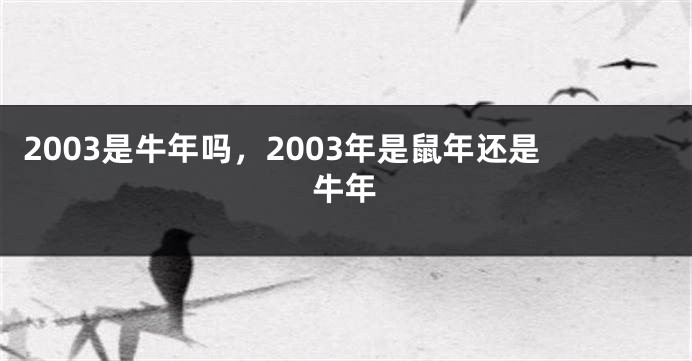 2003是牛年吗，2003年是鼠年还是牛年