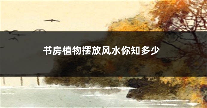 书房植物摆放风水你知多少