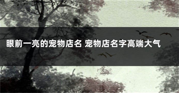 眼前一亮的宠物店名 宠物店名字高端大气