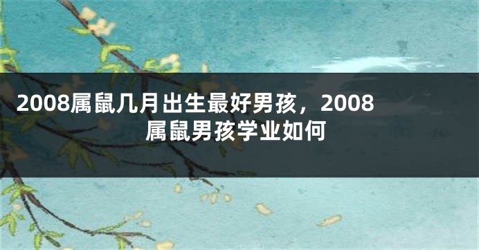 2008属鼠几月出生最好男孩，2008属鼠男孩学业如何