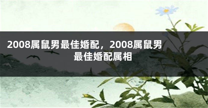 2008属鼠男最佳婚配，2008属鼠男最佳婚配属相