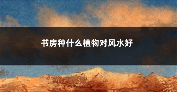 书房种什么植物对风水好