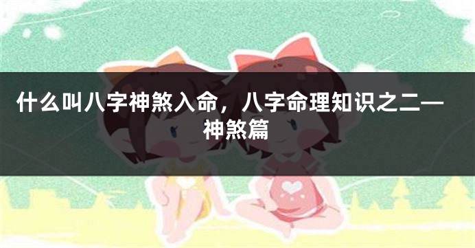 什么叫八字神煞入命，八字命理知识之二—神煞篇