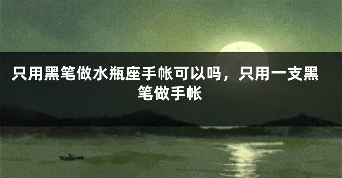 只用黑笔做水瓶座手帐可以吗，只用一支黑笔做手帐