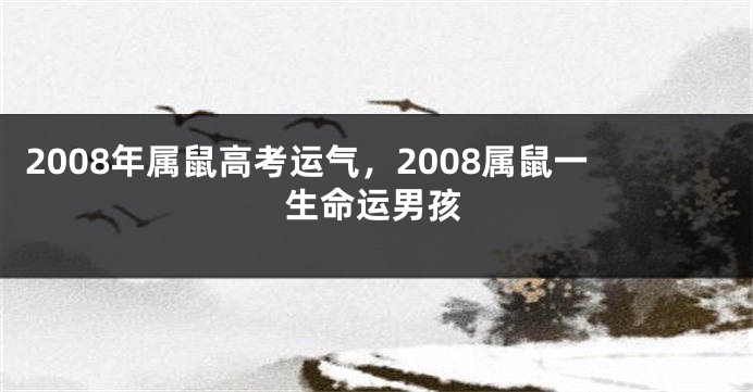 2008年属鼠高考运气，2008属鼠一生命运男孩