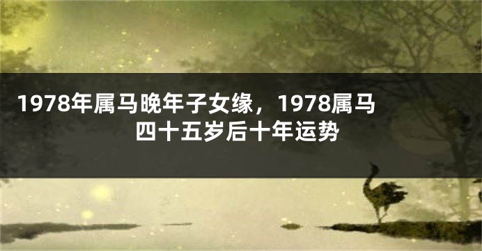 1978年属马晚年子女缘，1978属马四十五岁后十年运势
