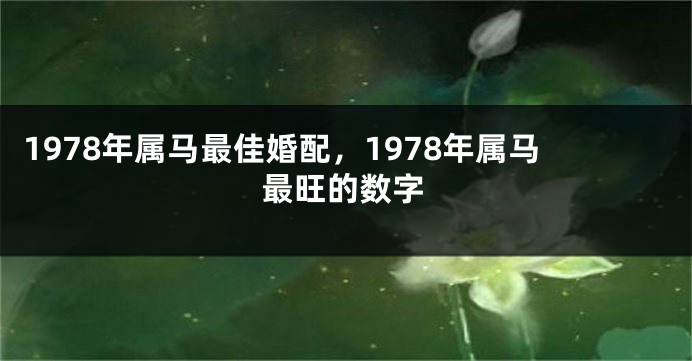 1978年属马最佳婚配，1978年属马最旺的数字