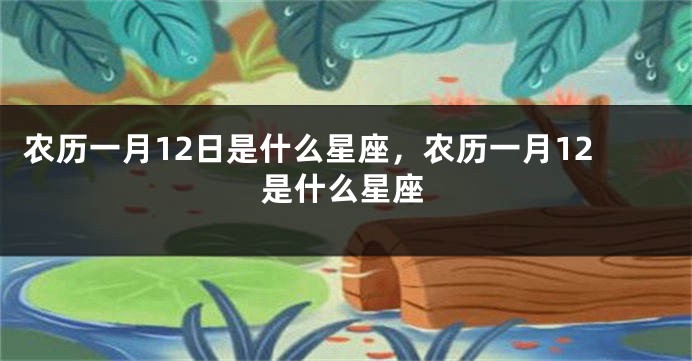 农历一月12日是什么星座，农历一月12是什么星座