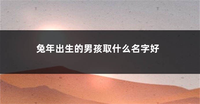兔年出生的男孩取什么名字好