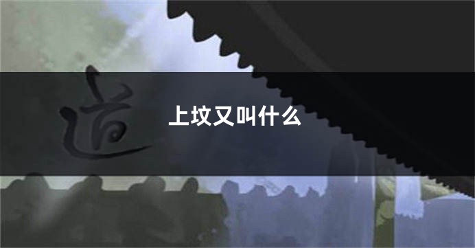 上坟又叫什么