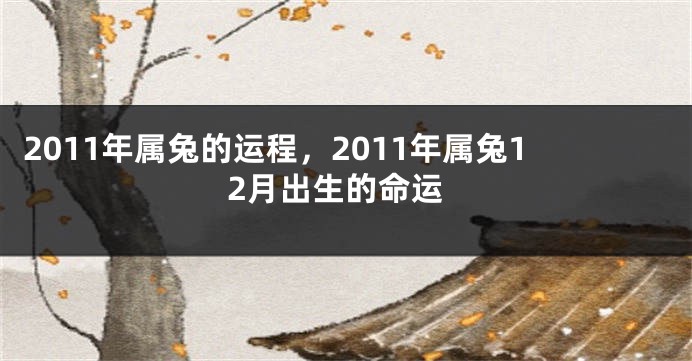 2011年属兔的运程，2011年属兔12月出生的命运