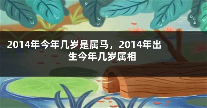 2014年今年几岁是属马,2014年出生今年几岁属相