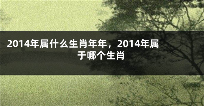 2014年属什么生肖年年，2014年属于哪个生肖