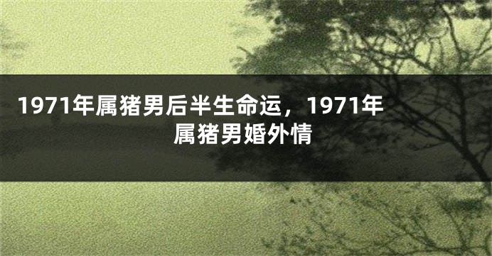 1971年属猪男后半生命运，1971年属猪男婚外情