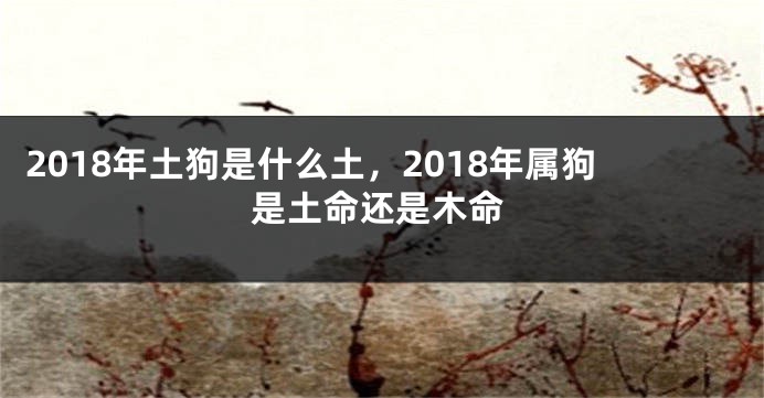 2018年土狗是什么土，2018年属狗是土命还是木命