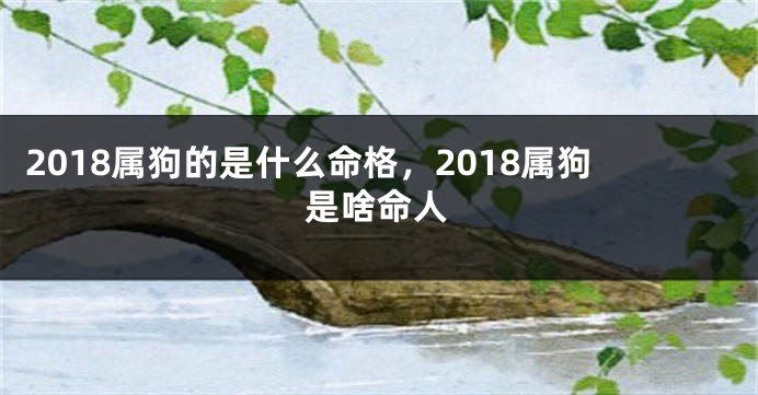 2018属狗的是什么命格，2018属狗是啥命人