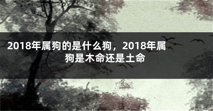 2018年属狗的是什么狗，2018年属狗是木命还是土命