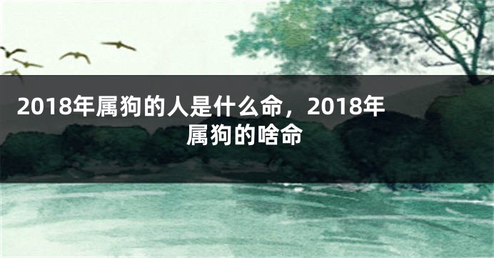 2018年属狗的人是什么命，2018年属狗的啥命