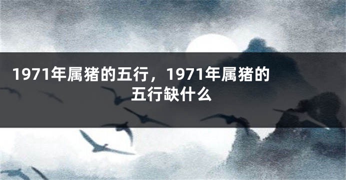 1971年属猪的五行，1971年属猪的五行缺什么