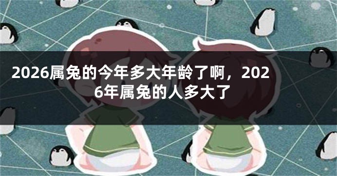 2026属兔的今年多大年龄了啊,2026年属兔的人多大了