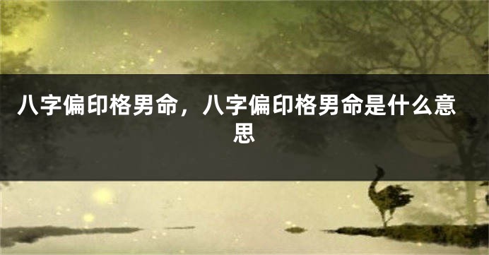八字偏印格男命，八字偏印格男命是什么意思