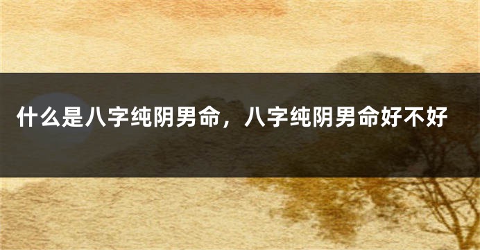 什么是八字纯阴男命，八字纯阴男命好不好
