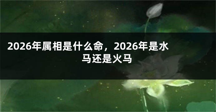2026年属相是什么命，2026年是水马还是火马