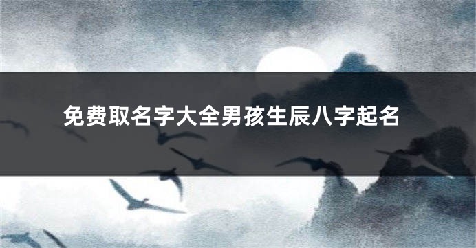 免费取名字大全男孩生辰八字起名