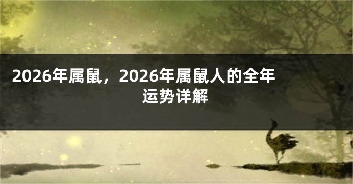 2026年属鼠，2026年属鼠人的全年运势详解