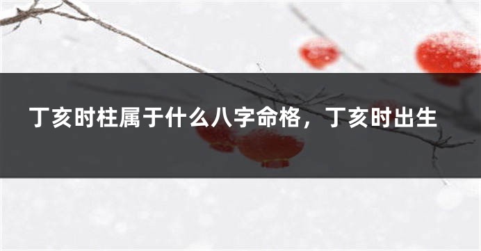 丁亥时柱属于什么八字命格，丁亥时出生
