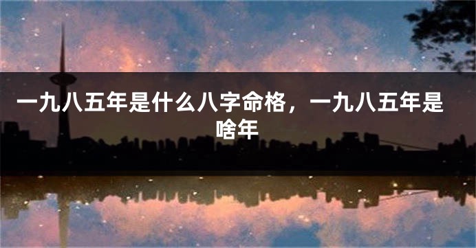 一九八五年是什么八字命格，一九八五年是啥年