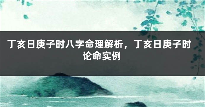 丁亥日庚子时八字命理解析，丁亥日庚子时论命实例