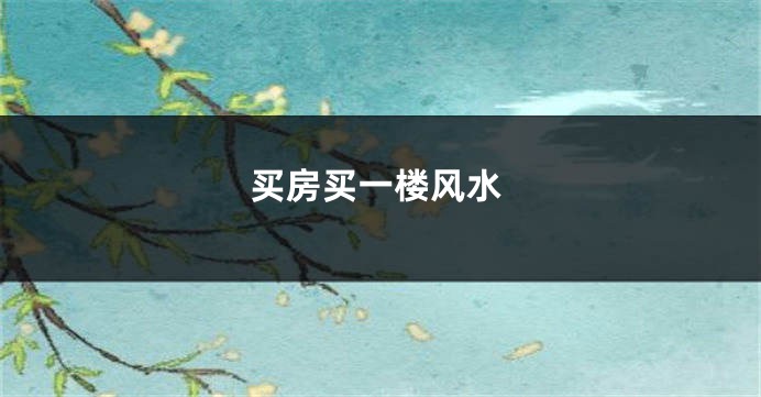 买房买一楼风水