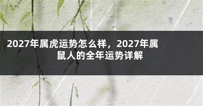 2027年属虎运势怎么样，2027年属鼠人的全年运势详解