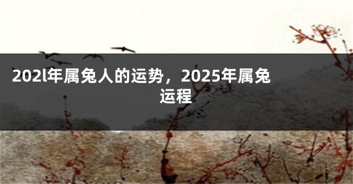 202l年属兔人的运势，2025年属兔运程