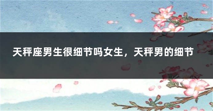 天秤座男生很细节吗女生，天秤男的细节