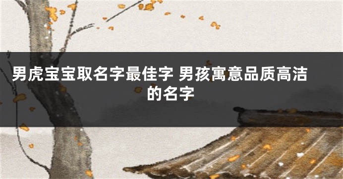 男虎宝宝取名字最佳字 男孩寓意品质高洁的名字