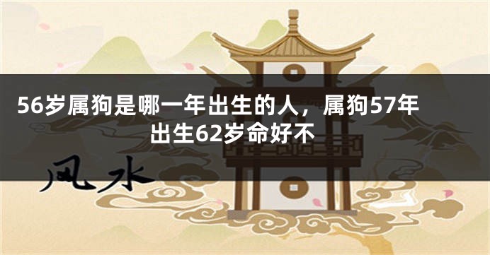 56岁属狗是哪一年出生的人，属狗57年出生62岁命好不