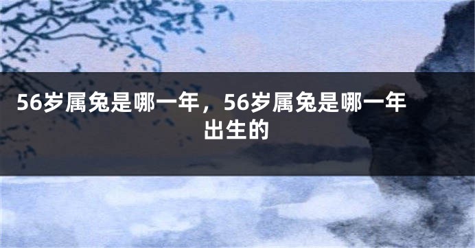 56岁属兔是哪一年，56岁属兔是哪一年出生的