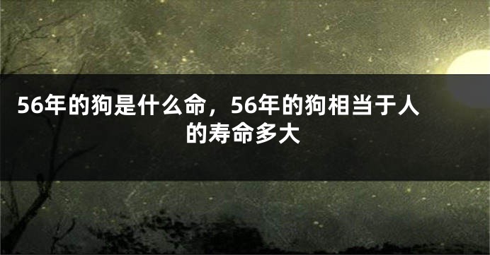 56年的狗是什么命，56年的狗相当于人的寿命多大