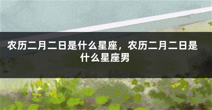 农历二月二日是什么星座，农历二月二日是什么星座男
