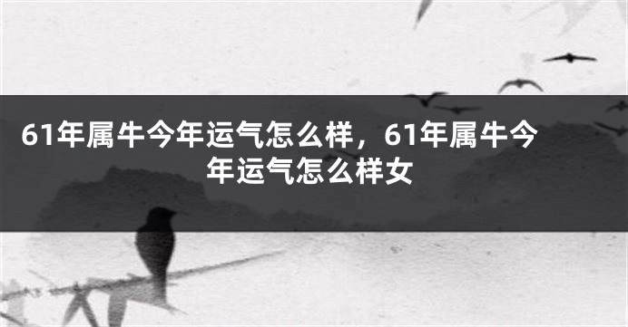 61年属牛今年运气怎么样，61年属牛今年运气怎么样女