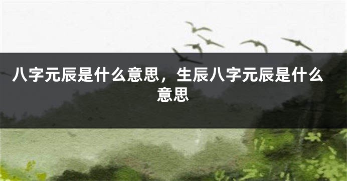 八字元辰是什么意思，生辰八字元辰是什么意思
