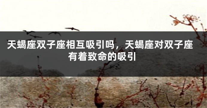 天蝎座双子座相互吸引吗，天蝎座对双子座有着致命的吸引