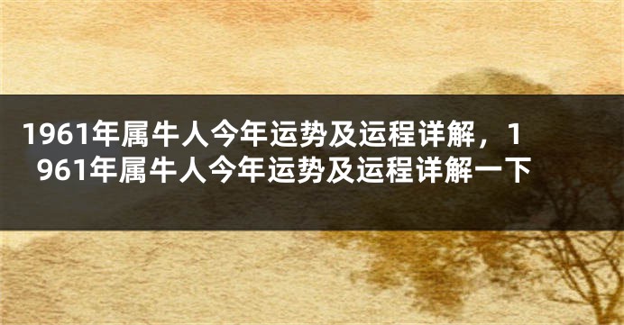 1961年属牛人今年运势及运程详解,1961年属牛人今年运势及运程详解一下