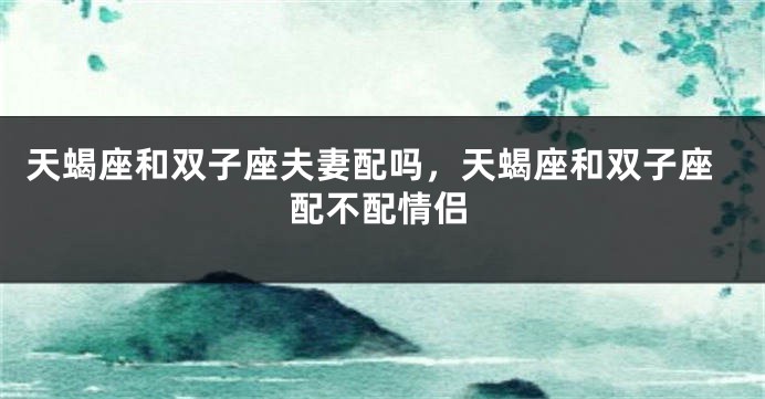 天蝎座和双子座夫妻配吗，天蝎座和双子座配不配情侣